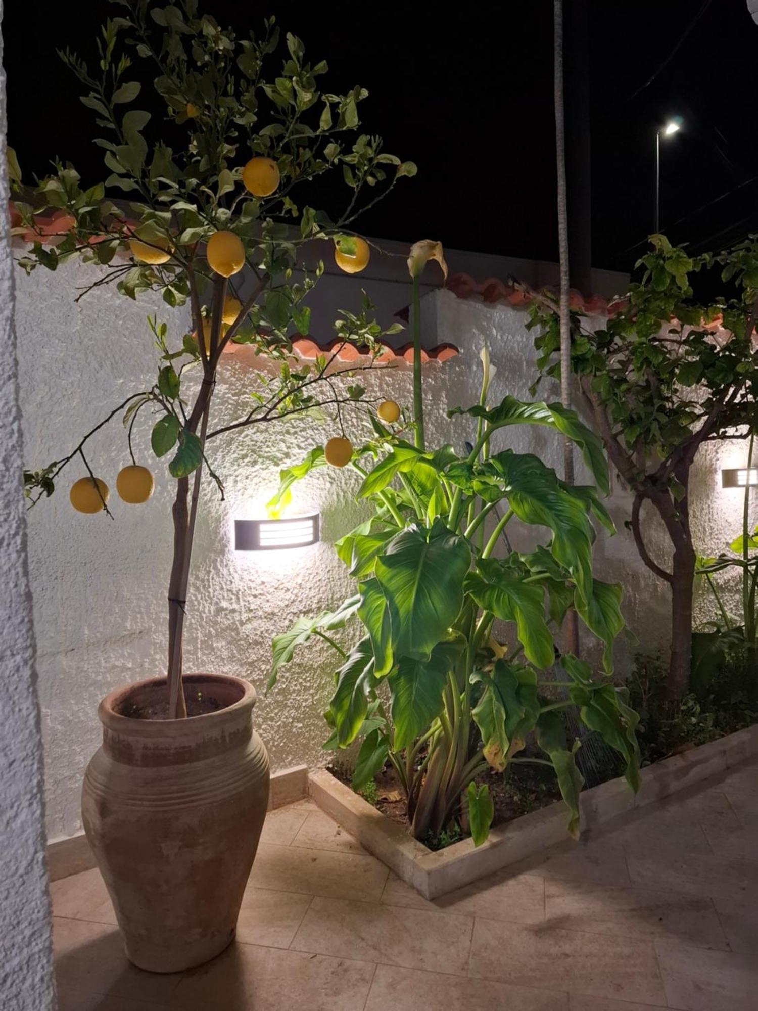 Villa Toluammare Sicily à Santa Maria Del Focallo Extérieur photo
