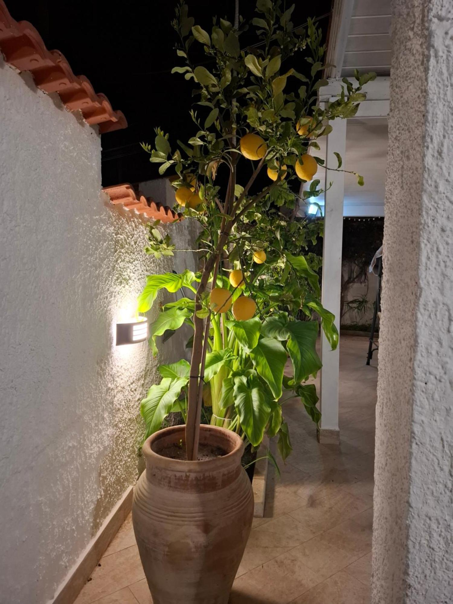 Villa Toluammare Sicily à Santa Maria Del Focallo Extérieur photo